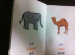 animals2.jpg