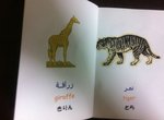 animals4.jpg