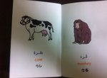 animals5.jpg